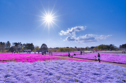 P2_05富田さとにわ耕園施設外就労