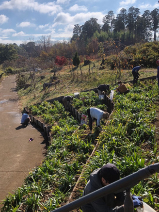 P2_10富田さとにわ耕園施設外就労