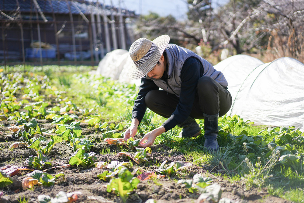 P3農業と精神医療