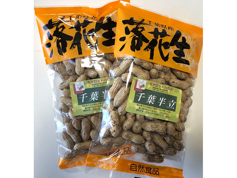 千葉半立落花生