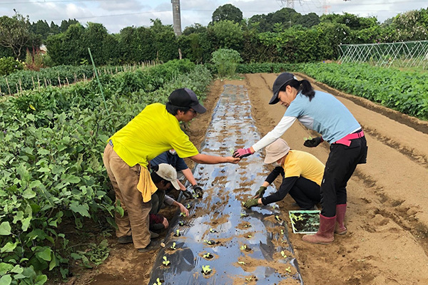 サイト案内＿1作業内容