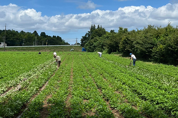 サイト案内＿2農福共生