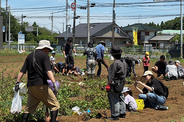 サイト案内＿6収穫体験